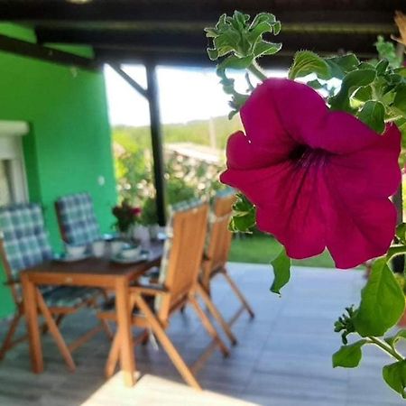 Вилла Ruralna Kuca Za Odmor Viktorija Caglin Экстерьер фото