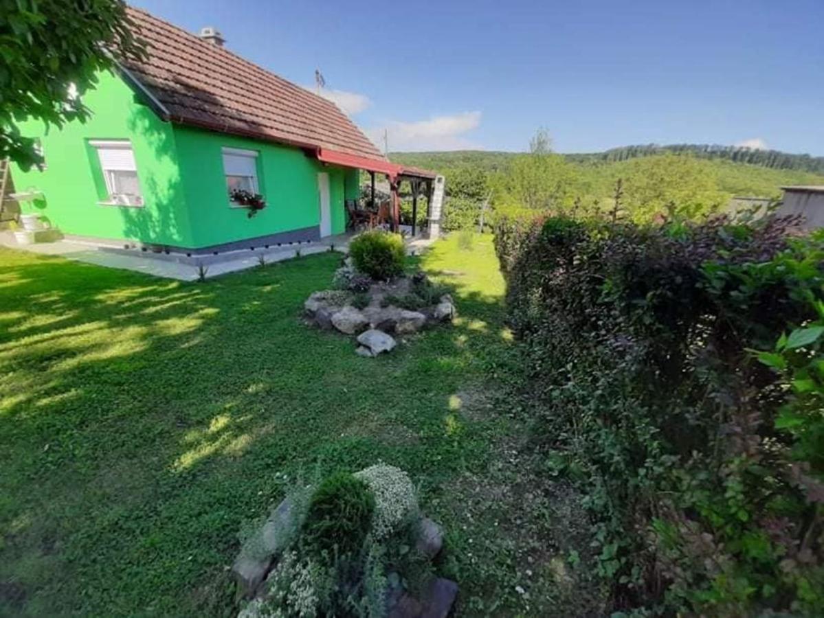 Вилла Ruralna Kuca Za Odmor Viktorija Caglin Экстерьер фото